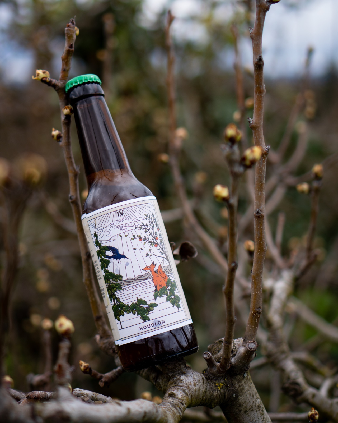 Bouteille Corbeau Renard dans un verger